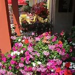 Гостевой дом Kathi 3*