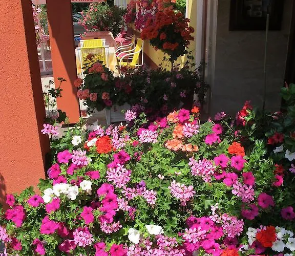 招待所 凯瑟琳旅馆 3*