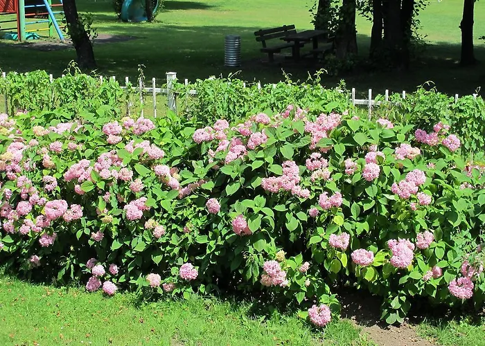 招待所 凯瑟琳旅馆 圣卡荐